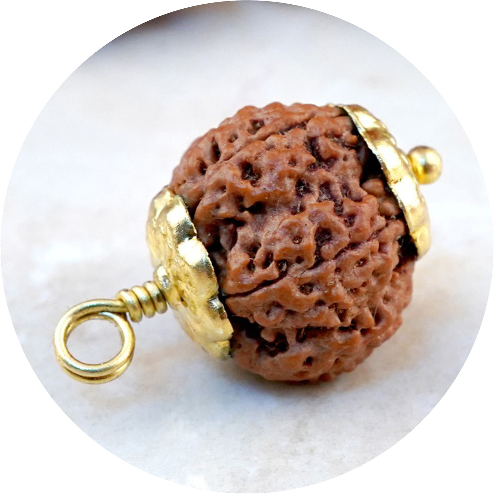7 Mukhi Rudraksha
