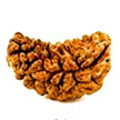 One Mukhi Rudraksha